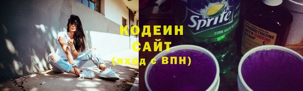 ПСИЛОЦИБИНОВЫЕ ГРИБЫ Богданович